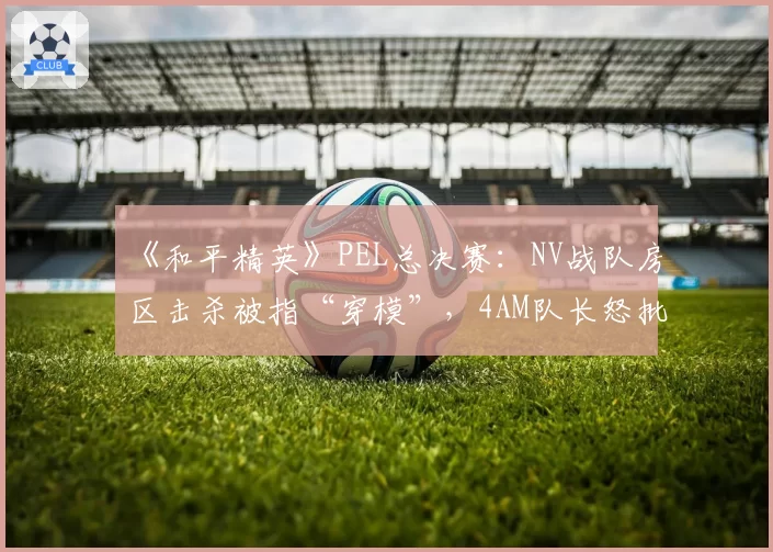 《和平精英》PEL总决赛:NV战队房区击杀被指“穿模”,4AM队长怒批裁判组不作为