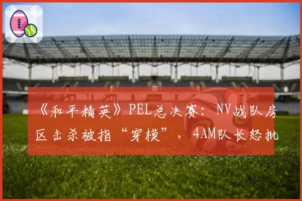 《和平精英》PEL总决赛:NV战队房区击杀被指“穿模”,4AM队长怒批裁判组不作为