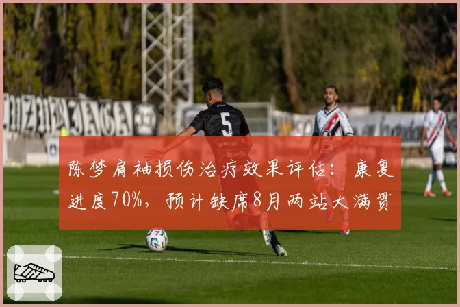 陈梦肩袖损伤治疗效果评估:康复进度70%,预计缺席8月两站大满贯
